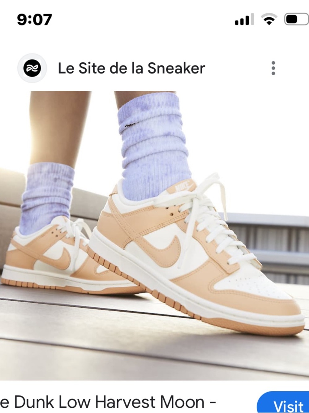 Nike Kids Dunk Low - Beige & White Casual Sneaker